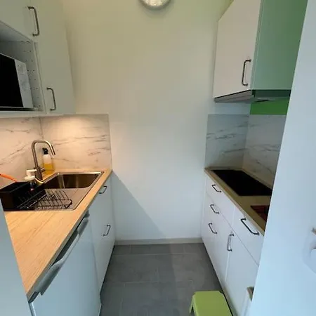 Appartement Neuf Proche Gare De Grenoble