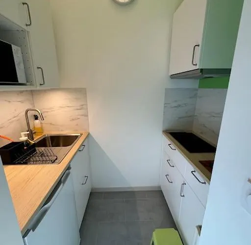 Daire Neuf Proche Gare De Grenoble