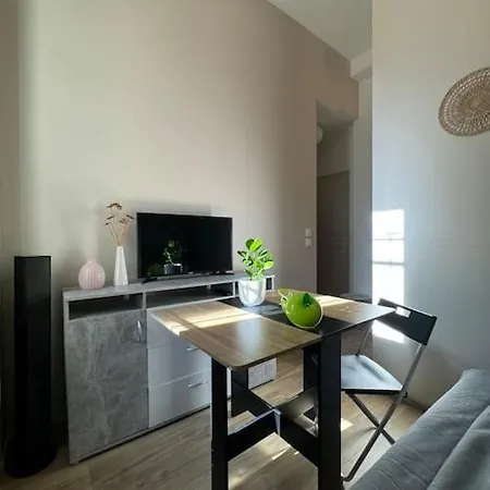 Neuf Proche Gare De Apartment Grenoble